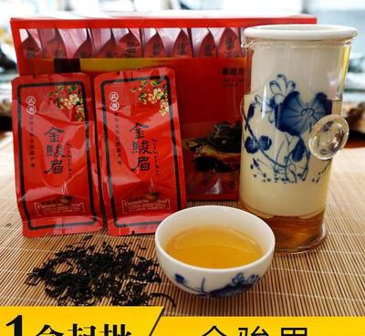 武夷山红茶批发 金骏眉礼盒装 金骏眉茶叶 J110